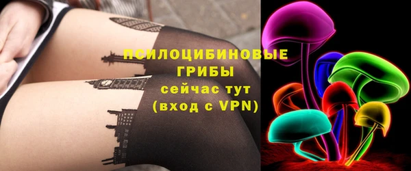 МДПВ Абинск